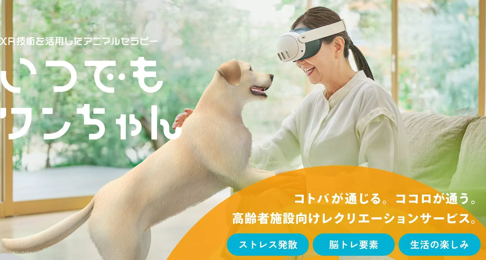 バーチャル犬”で孤独を癒やす、「いつでもワンちゃん」が販売開始。介護施設や入居者向けに - Mogura VR News