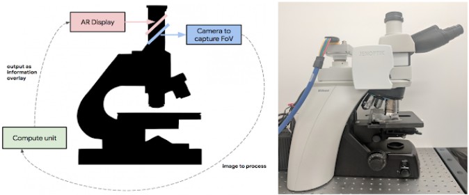 グーグル、AR顕微鏡のプロトタイプ発表 癌を正確に発見
