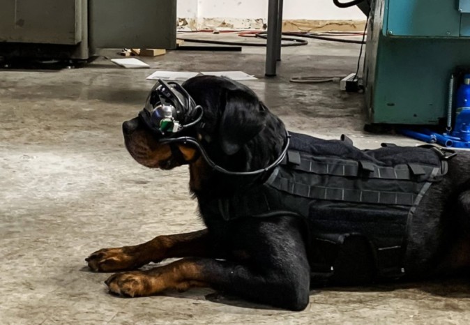 米軍が「犬向け」ARグラスを研究中、軍用犬に遠隔で指示