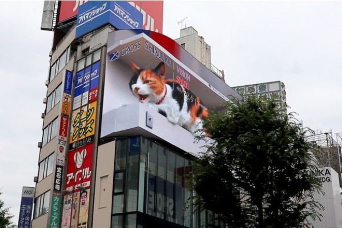 巨大猫で大きな話題となった「クロス新宿ビジョン」が本放映を開始