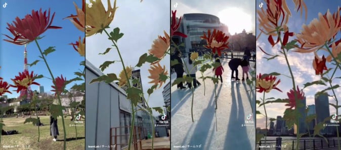 空間に合わせた鮮やかな花々が出現 チームラボ×TikTokのコラボ作品が登場